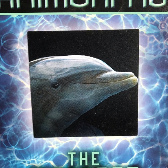 Animorphs books 1-5 #1 #2 #3 #4 #5 KA Applegate morph animals The Invasion 1 2 3 - Picture 10 of 11